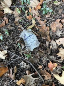 Image of trash, a dirty piece of paper on a leafy ground