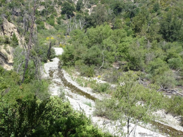 The Arroyo Seco flows along a rocky streambed with trees on either side.