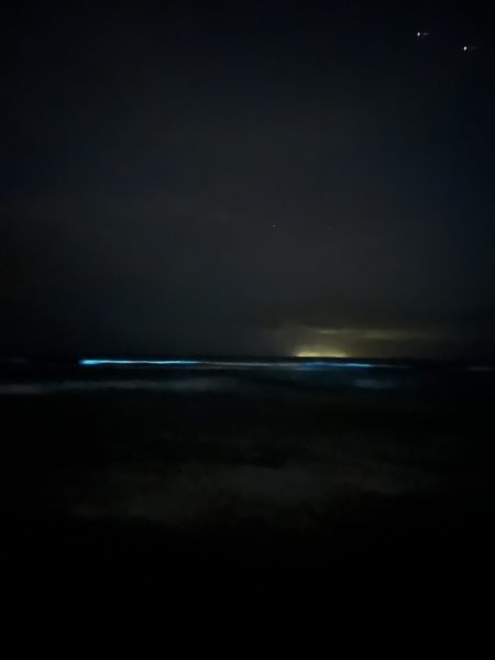 The blue green metallic hues of bioluminescence along the coastline. The  edge of the moon in the back and stars above