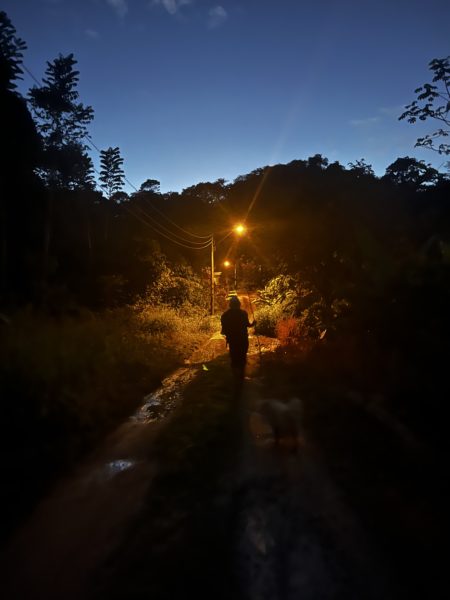   Alt Text: Tracy’s silhouette holding a walking stick in the light of a streetlamp with   the dark blue hues of the nightfall