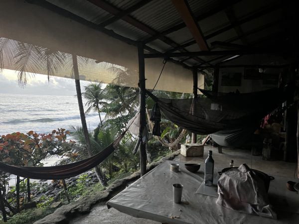 Hammocks strung from wooden polls with the sea in the background. It is the edge of a built hut framed with coconut trees 