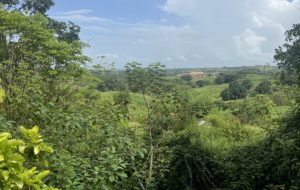 A view of the rolling hills from the cottage at Ajoupa, where Tracy & Gesiye live. It overlooks a green valley with a Hindu temple in the distance and a blue sky above.