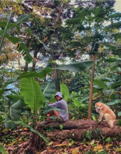 Tracy is siting on a tree log among banana and papaya trees in the forest. She is wearing a long sleeved grey shirt and a bucket hat. There is a small white dog sitting beside her. In the distance is the sea.
