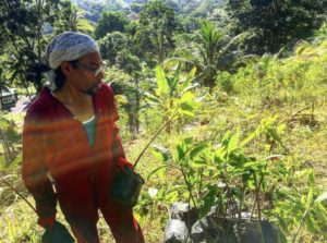 Michael is wearing an orange jumpsuit with a white bandana tied around his head. He is holding a young cacao sapling, among others to be planted along the hillside