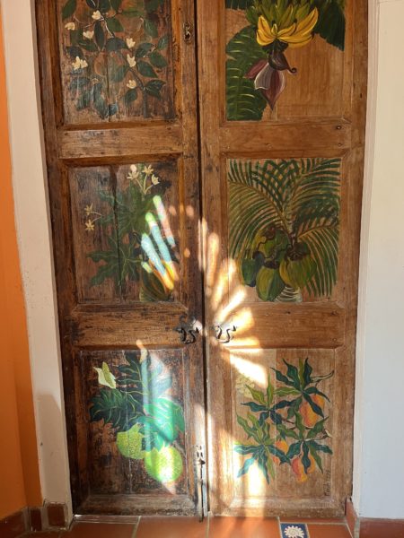The handprinted artwork of tropical fruits and flowers on a wooden door with the  reflection of the morning light 