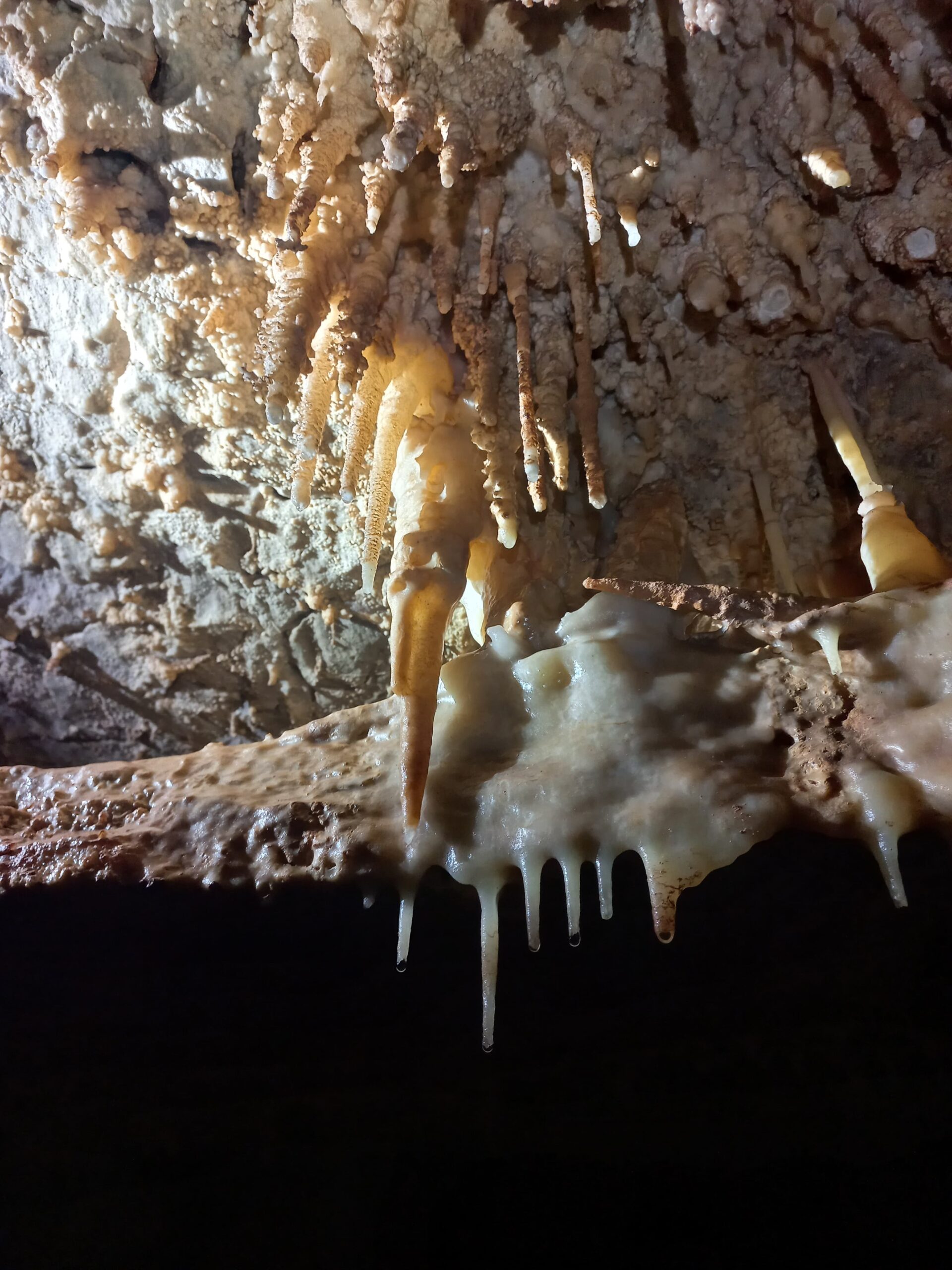 Cave formations located in the ceiling of a cave