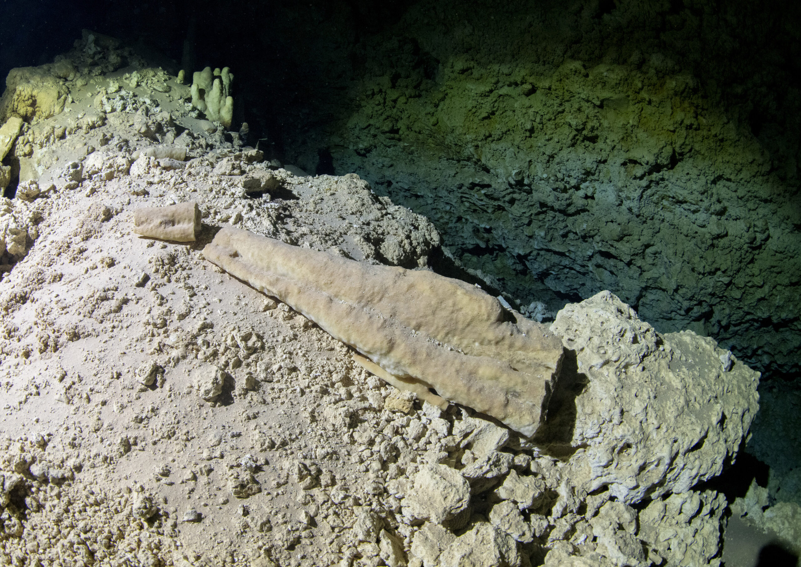 a two-piece broken speleothem located inside a submerged cave.