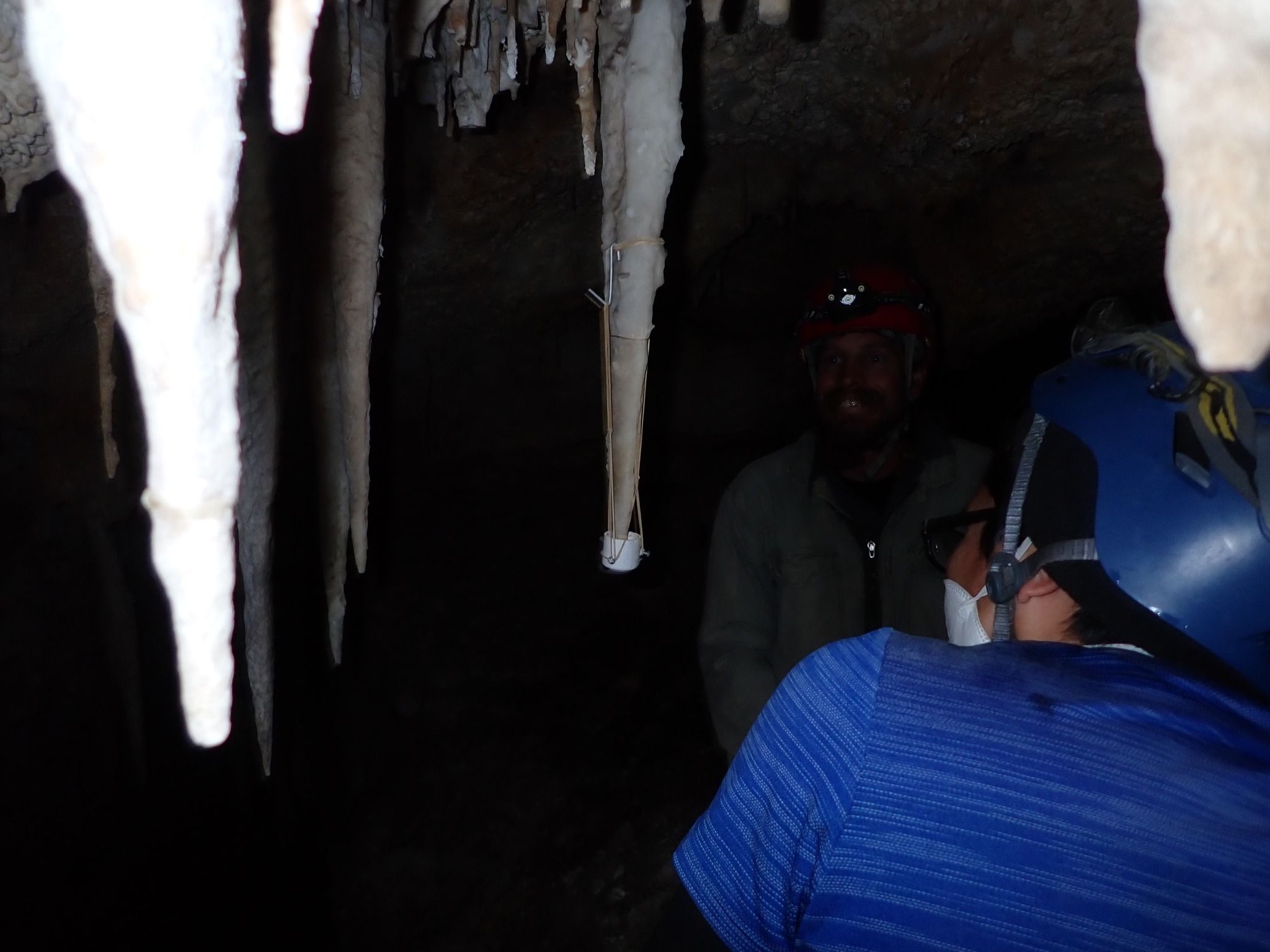 a person looks towards a recently repaired stalactite where the Speleocup was used.
